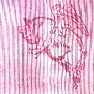 Flying Pig 🐷 distressed tie-dyed graffiti tank top back:stars 4T-5T toddler